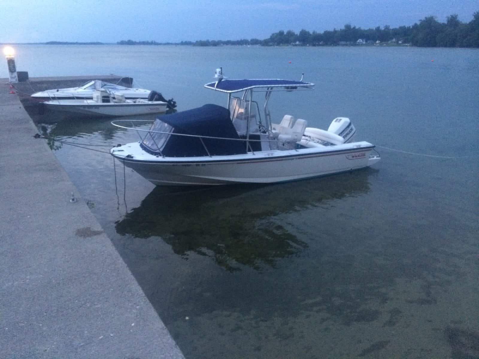 Boston Whaler 21 Outrage T-Top 1995 image 1