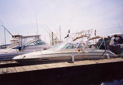 Sea Ray 215 Express Arch 1996 image 1