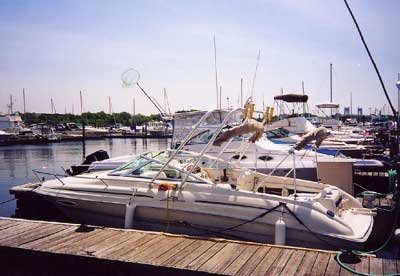 Sea Ray 215 Express Arch 1996 image 1