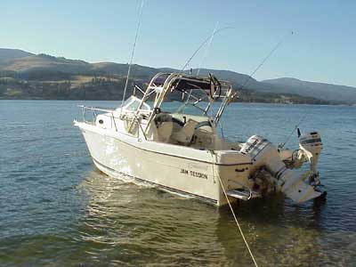 Seaswirl 2150 Walkaround Arch 1995 image 1