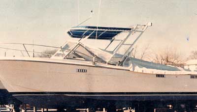 Bimini 29 Cuddy Top 1989 image 1