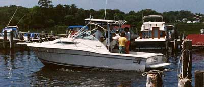 Wellcraft 2600 Coastal Top 1990 image 1