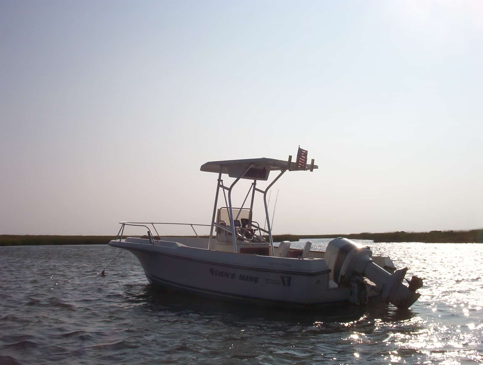 Wellcraft 20 Fisherman T-Top 1980 image 1