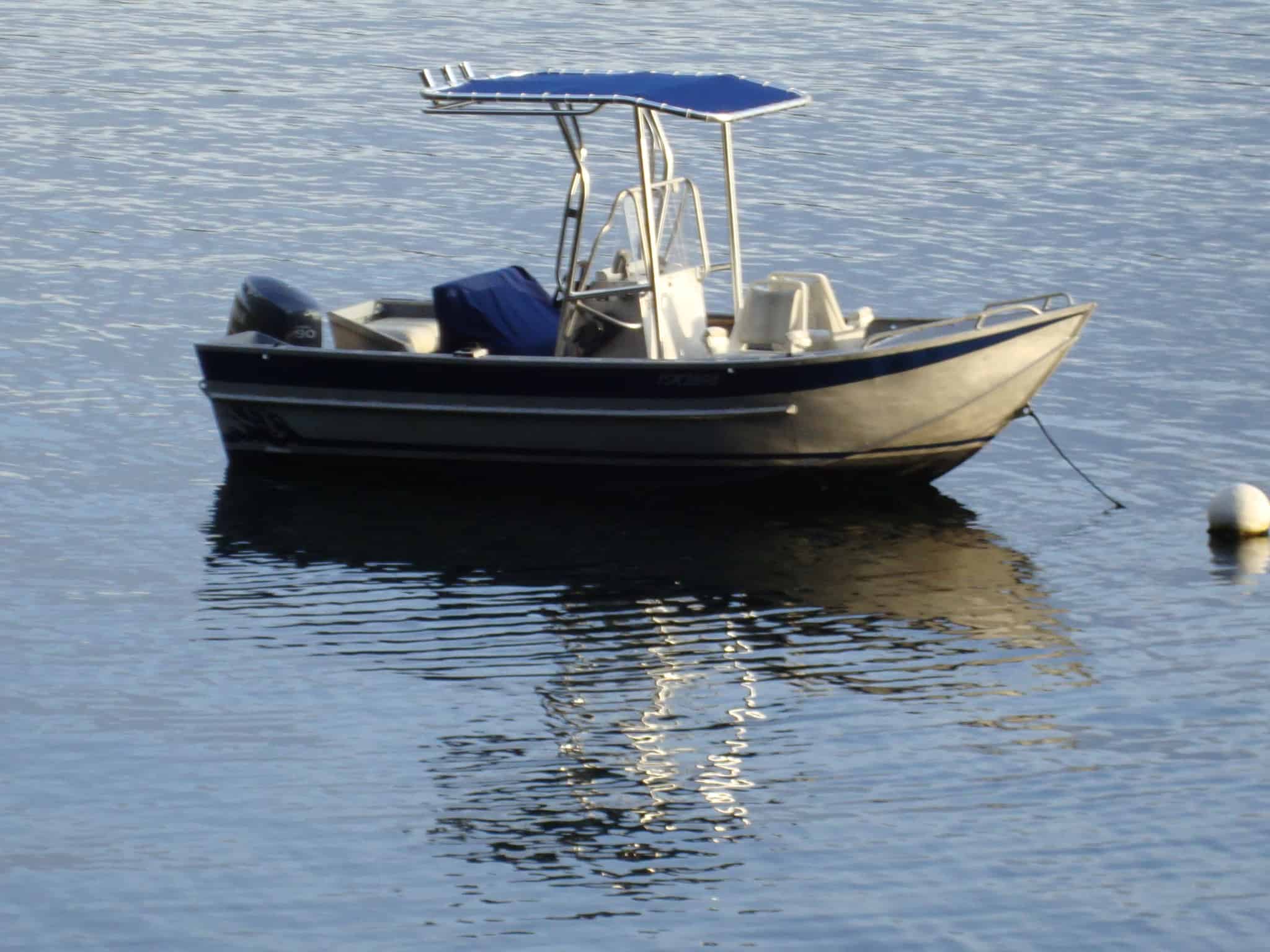 Ocean Sport 18 T-Top 2007 image 1