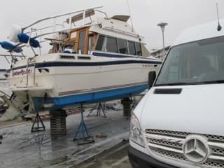 T-Top image 1
