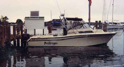 Grady White 268 Islander Arch 1995 image 1