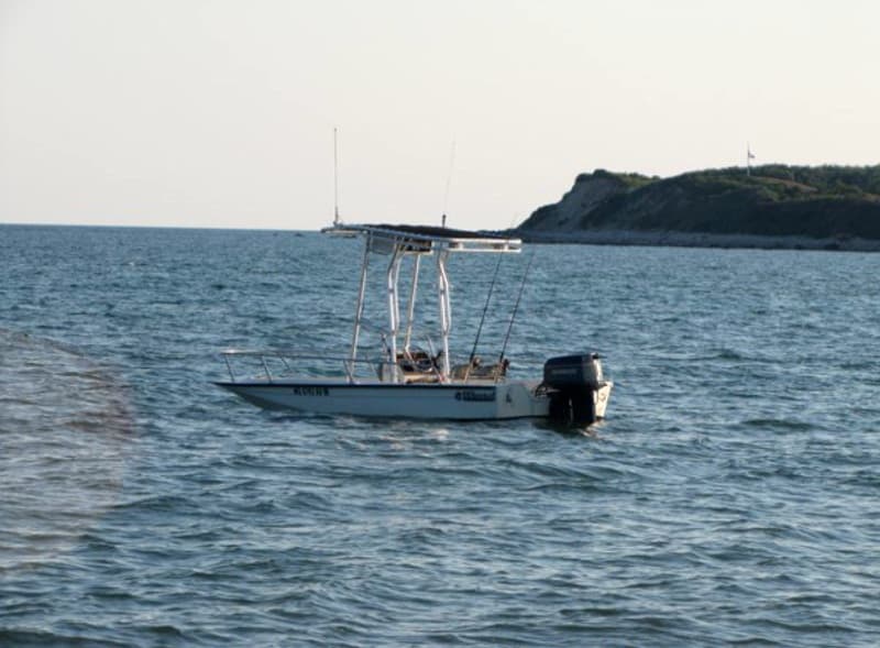Wahoo 17 T-Top image 1