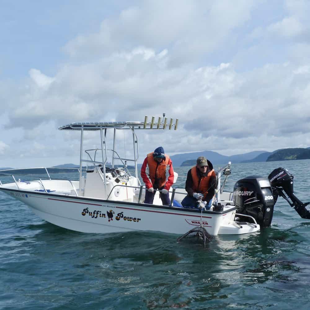 Boston Whaler 210 Montauk T-Top 2012 image 1