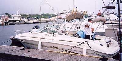Sea Ray 215 Express Cruiser Arch 1996 image 1