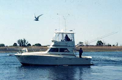 Viking 35 Convertible Top 1975 image 1