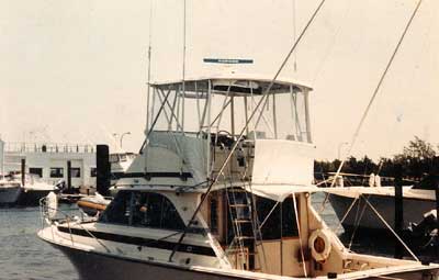 Bertram 38 Convertible Top 1970 image 1