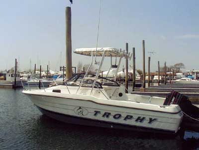 Bayliner 2002/ 2052 Walkaround Top 1991 image 1
