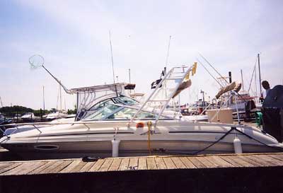 Sea Ray 215 Express Arch 1996 image 1