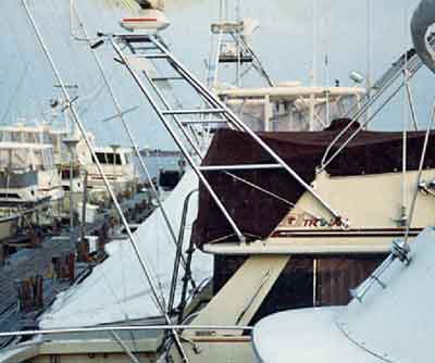 Trojan 36 Convertible Arch 1972 image 1
