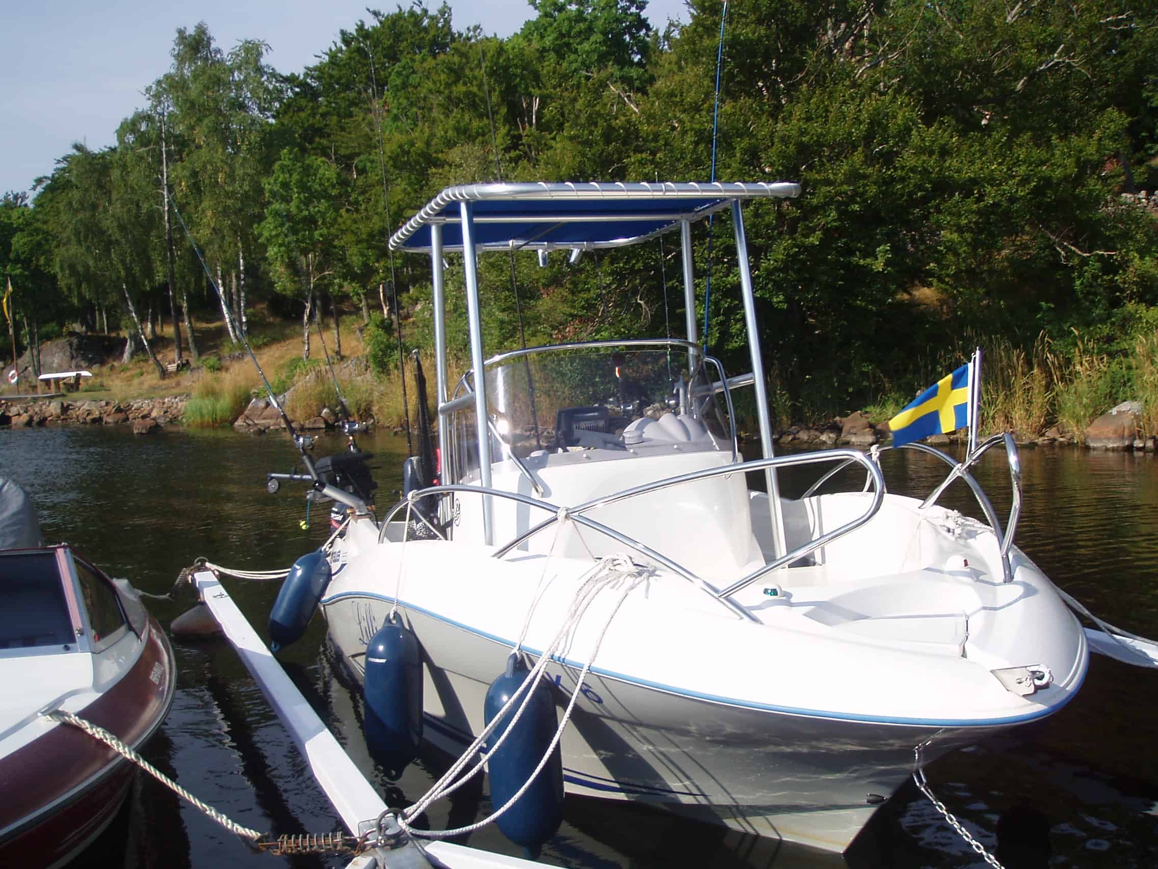 Quicksilver Commander open T-Top image 1