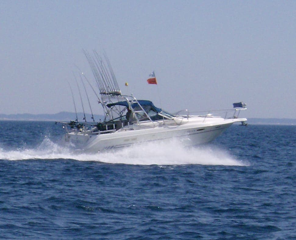 Sea Ray 300 Weekender Arch 1991 image 1