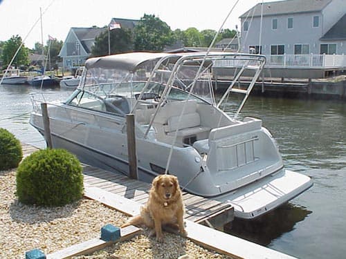 Crownline 290 Crownline Arch 1999 image 1