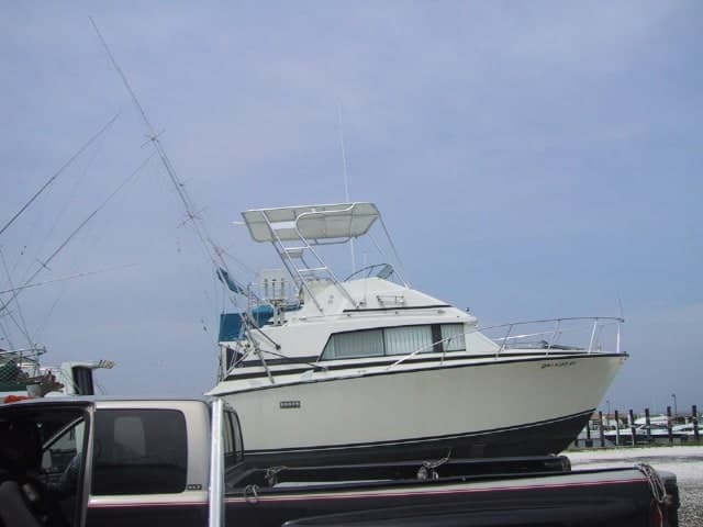 Bertram 33 Sport Fish Top 1979 image 1