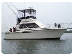 Egg Harbor 33 Sedan Top 1982 image 1