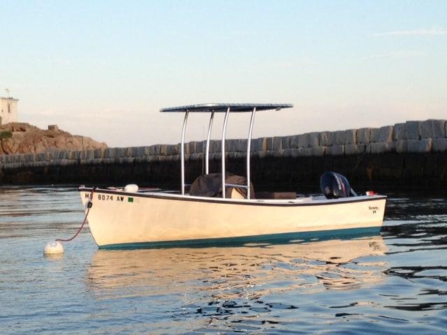 Seaway 19 T-Top image 1
