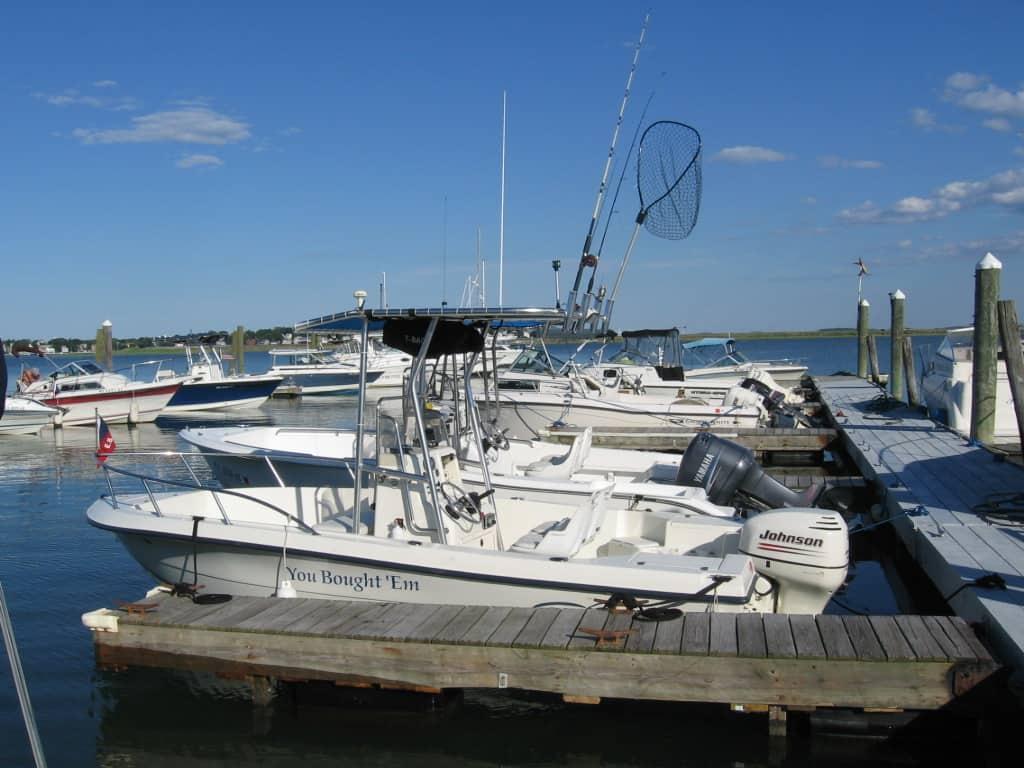 Sea Boss 19 T-Top image 1