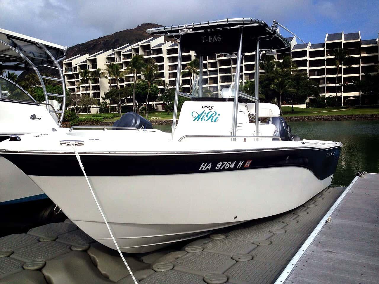 Sea Fox 199 T-Top 2012 image 1