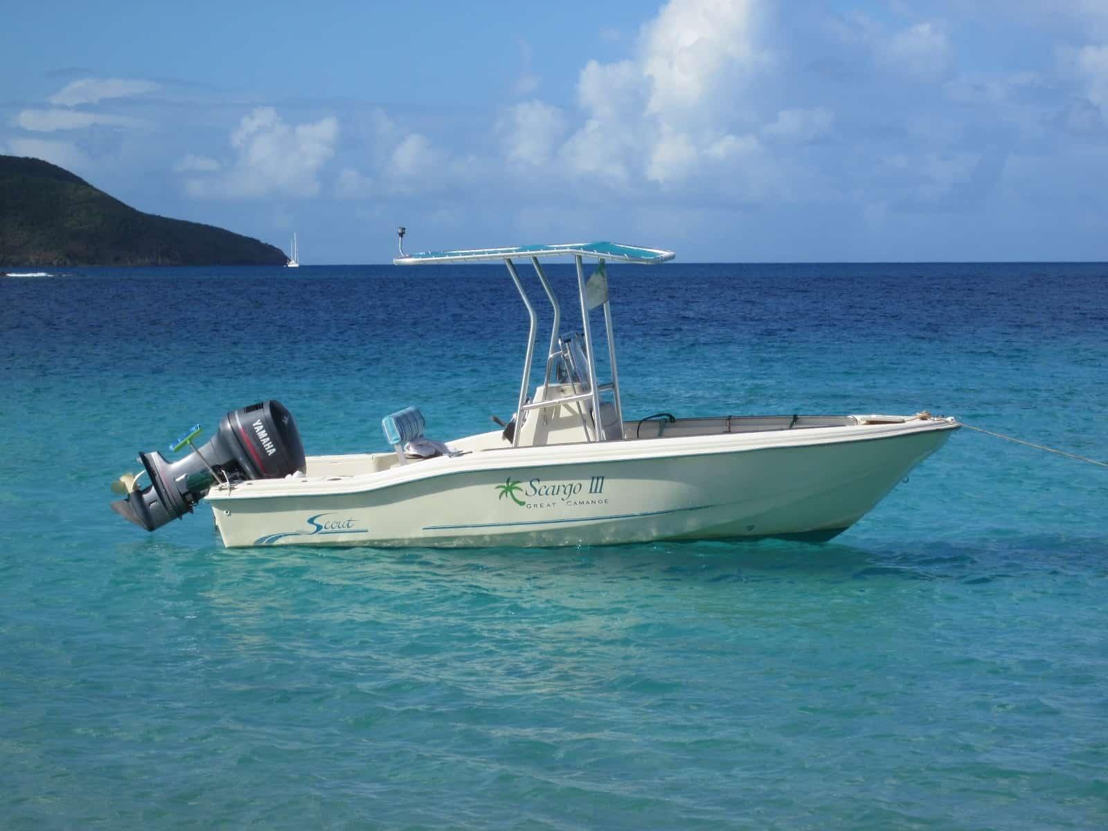 Scout T-Top image 1