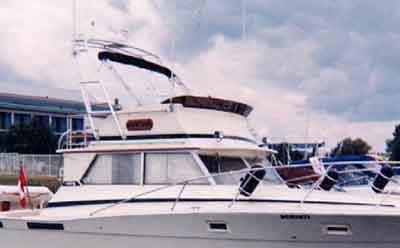 Viking 40 Sedan Arch 1973 image 1