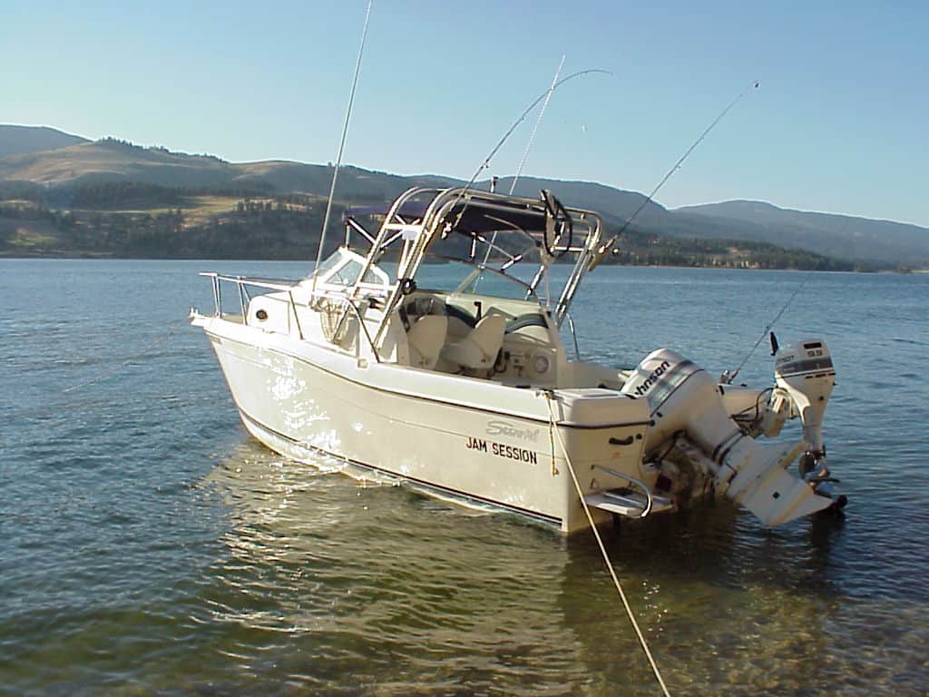 Seaswirl 2100 Striper Walkaround Arch 1996 image 1