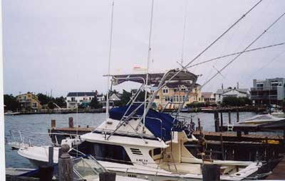Blackfin 29 Flybridge Top 1986 image 1