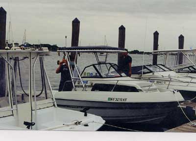 Renken 2008 WA Top 1988 image 1