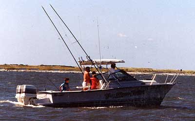 Rampage 24 Express Top 1985 image 1