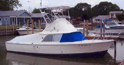 Bertram 31 Flybridge Cruiser Top 1961 image 1