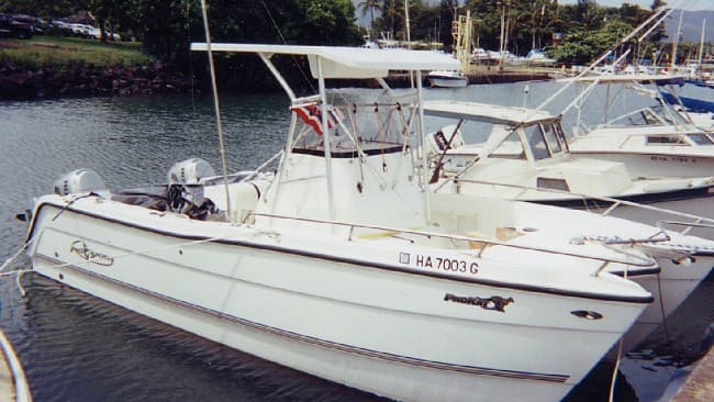 Pro Sport ProCat CC 22 T-Top 2002 image 1