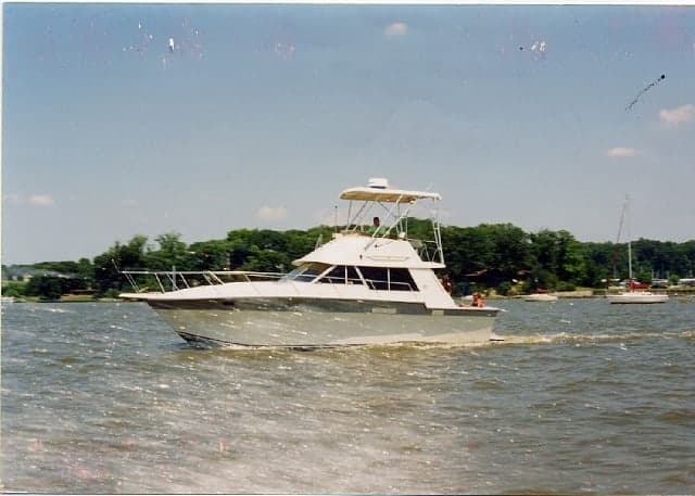 Silverton 34 Convertible Top 1984 image 1