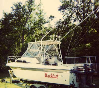 Wellcraft 250 Sportsman/ Coastal Top 1986 image 1