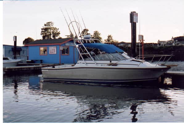 Bayliner 2460 Trophy Arch 1984 image 1