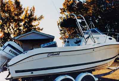 Seaswirl 2300 Striper Arch 1998 image 1