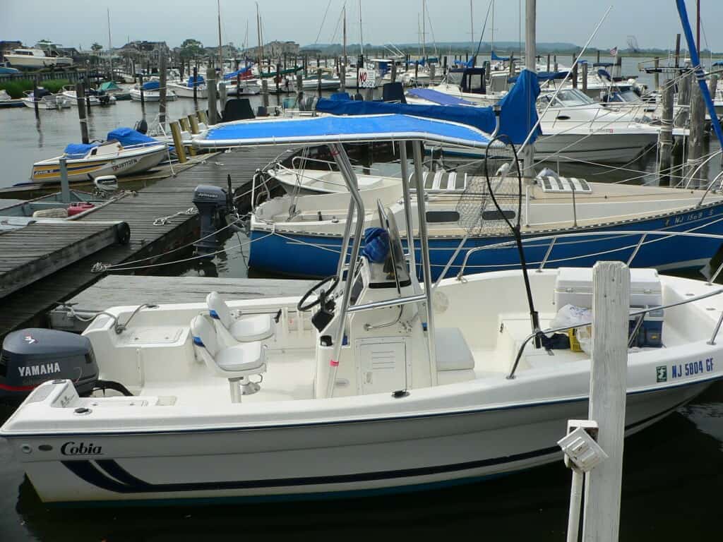 Cobia 194 T-Top 1995 image 1