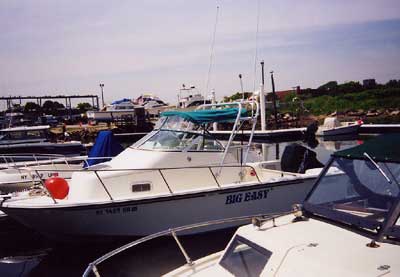 Edgewater 210 CC Arch 1996 image 1