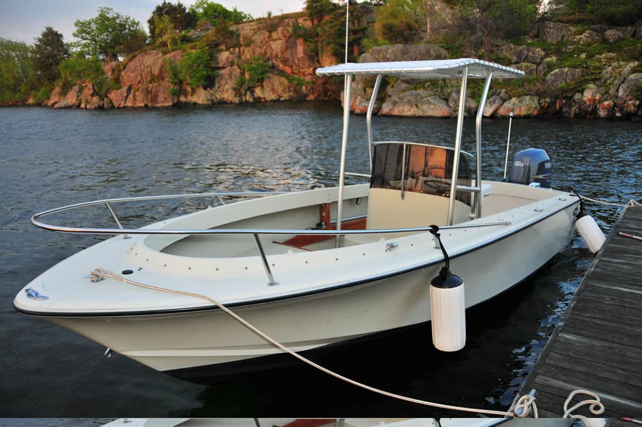 Hi Liner 19 T-Top image 1