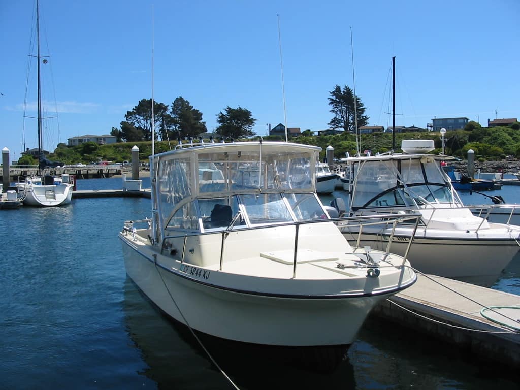 Skipjack Top image 1