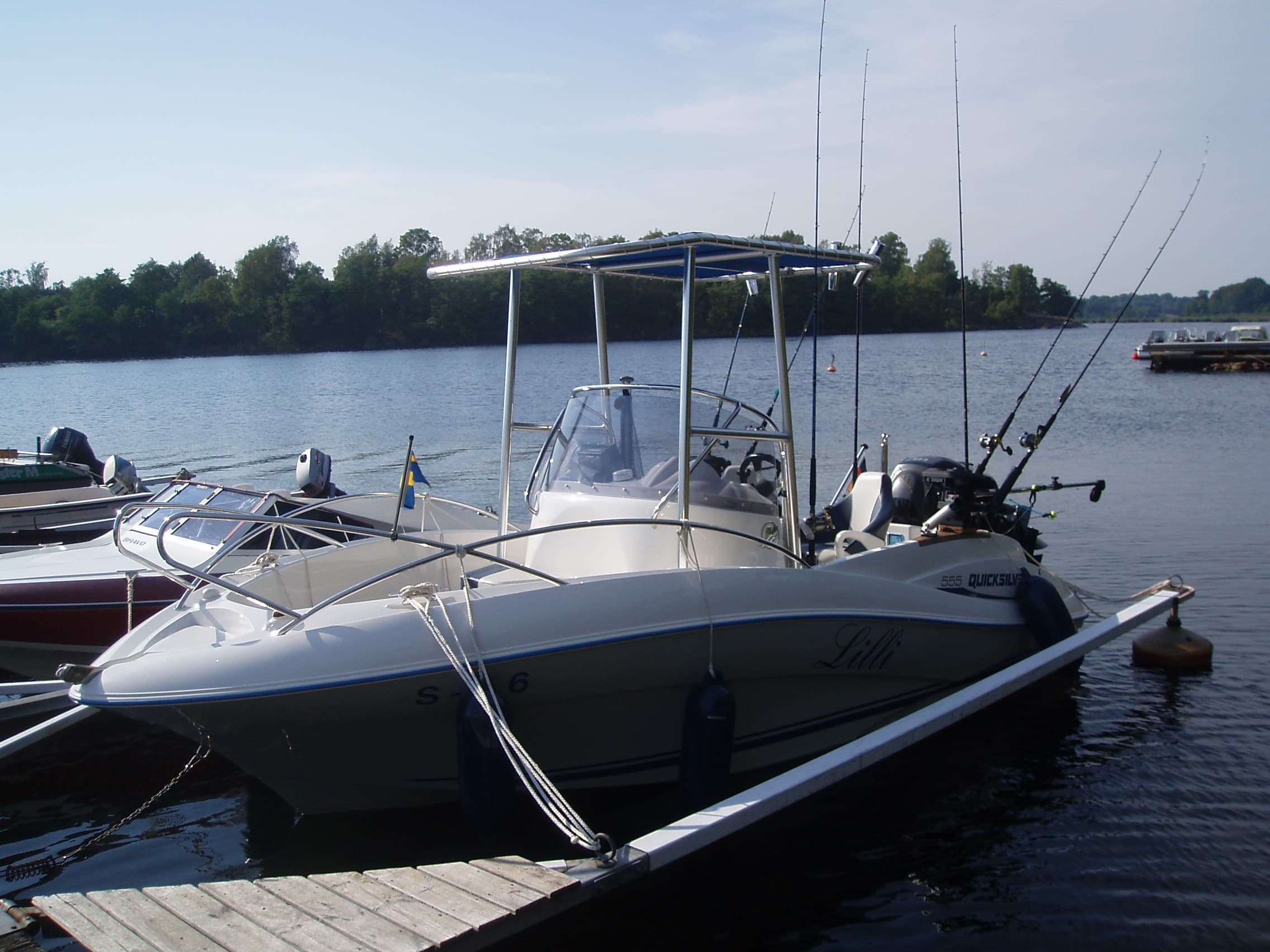 Quicksilver Commander T-Top 2007 image 1