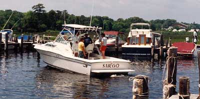 Wellcraft 2600 Coastal Top 1990 image 1