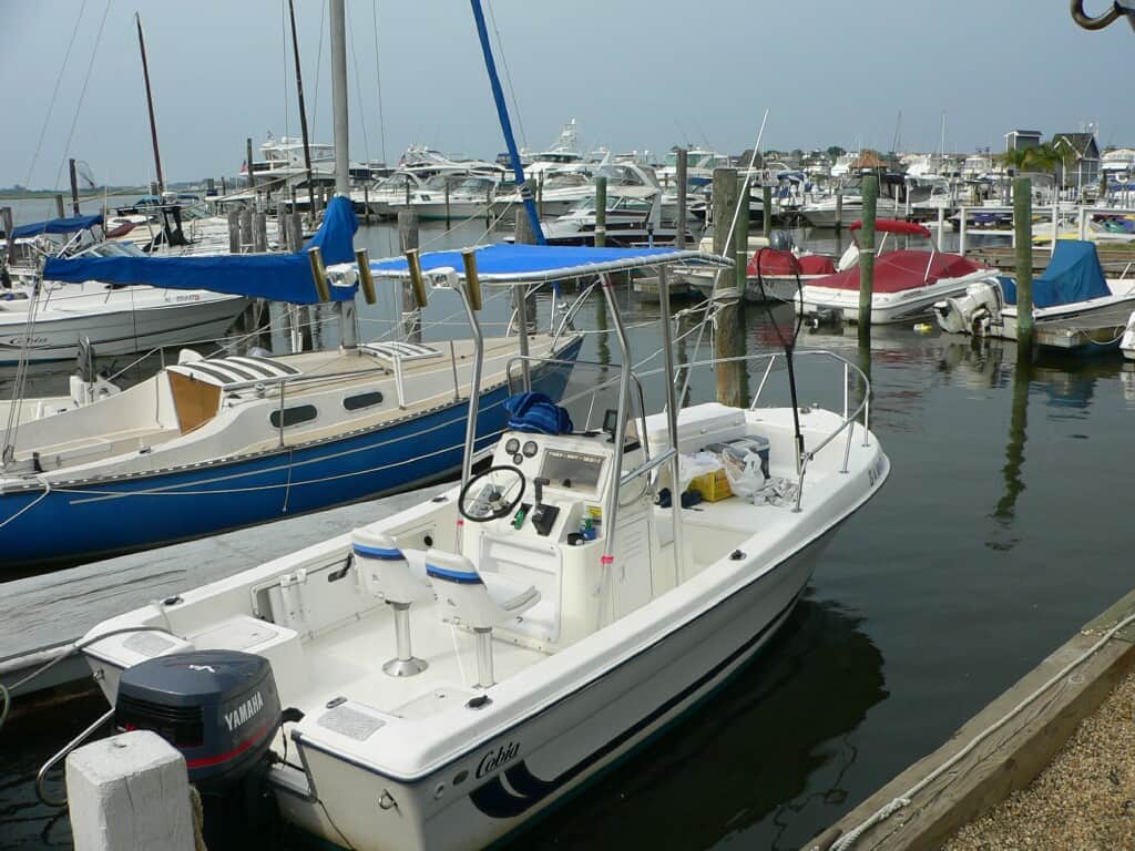 Cobia 194 T-Top 1995 image 1