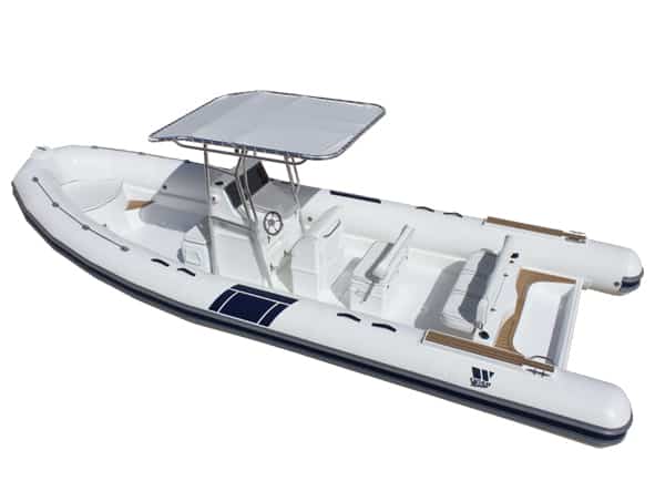Tiger Marine Dive Master 850 T-Top 2011 image 1