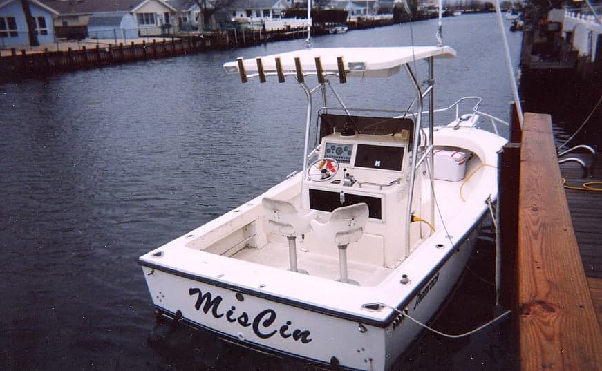 Shamrock 20 CC T-Top 1992 image 1