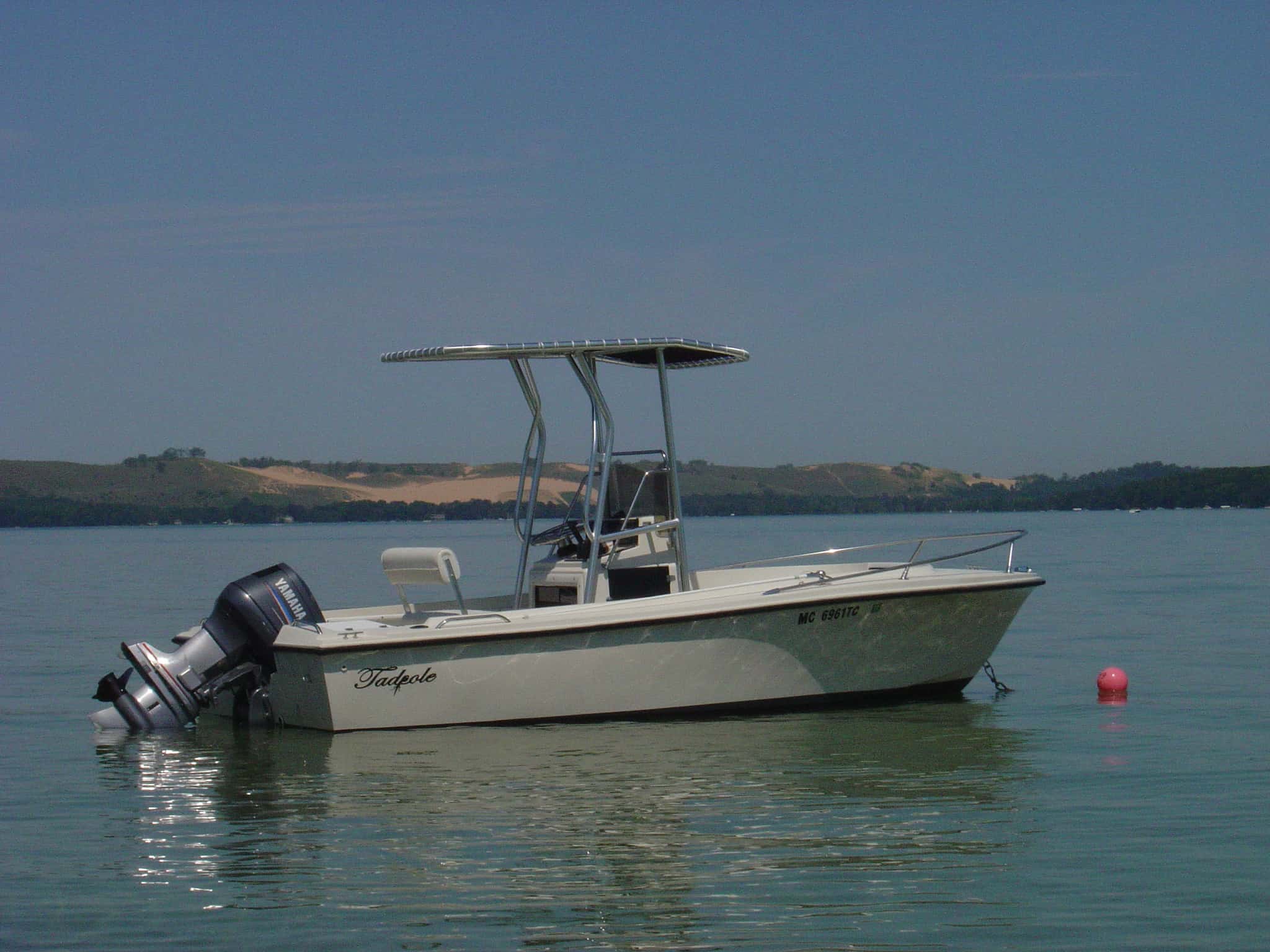 Wellcraft 18 Fisherman T-Top 1980 image 1