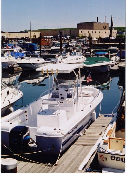 Pro Line 22 Sport T-Top 2000 image 1