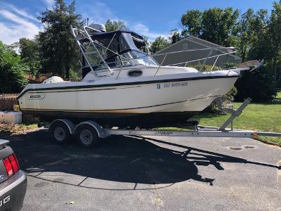 Boston Whaler Arch 2000 image 1
